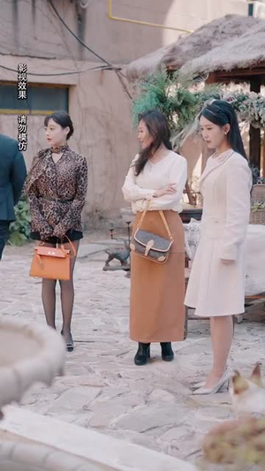 夜先生的小可爱甜又美（70集）夸克在线观看