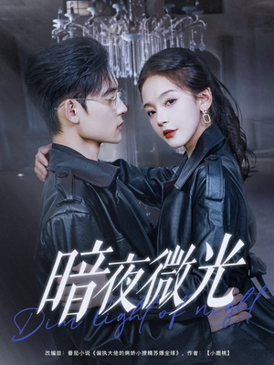 暗夜微光（86集）精彩不断免费看