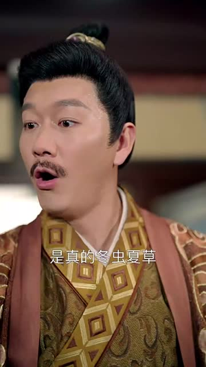 玉碎凤还巢（60集）真的太好看了