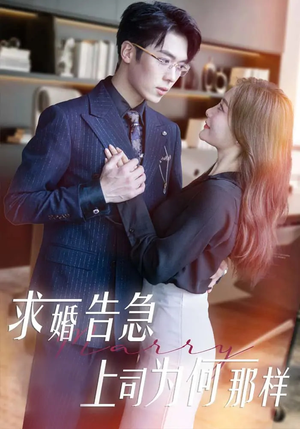 求婚告急上司为何那样（70集）全集一次看完