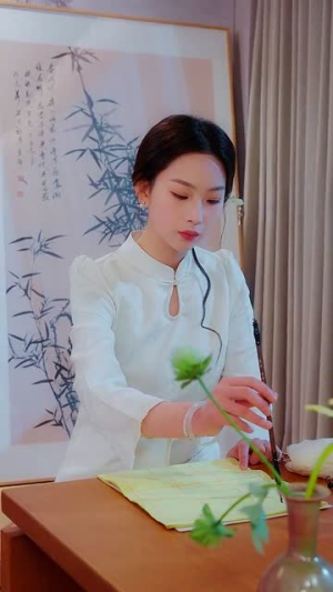寻野（100集）精彩短剧合集