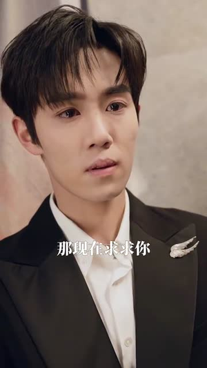 亲爱的闻总监（80集）今日最火短剧