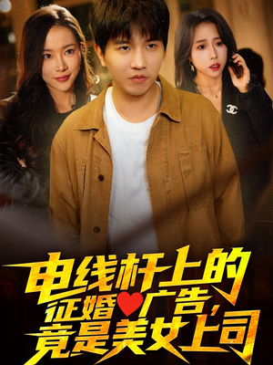 电线杆上的征婚广告，竟是美女上司（90集）口碑之选免费看