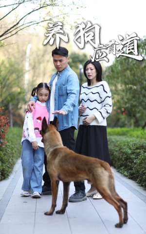 养狗应有道（60集）经典老剧免费看