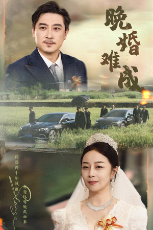 晚婚难成（60集）夸克网盘在线看