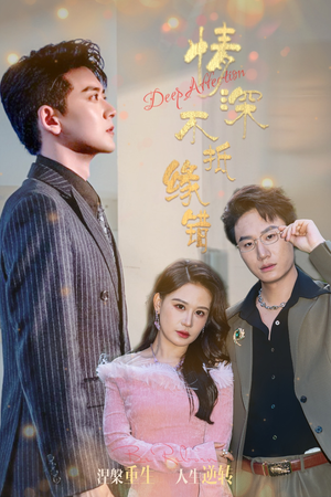 情深不抵缘错（60集）在线看免费版