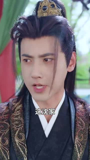 和离后：将军马甲掉了（88集）剧情简介