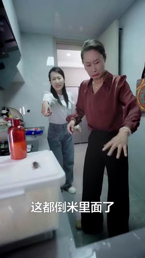 我的婆婆好傲娇（24集）短剧中追到爽