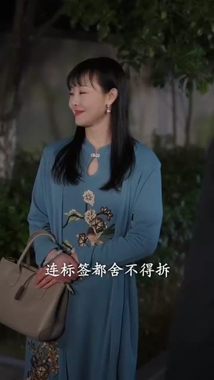 佳妻如梦（70集）番茄短剧看全集