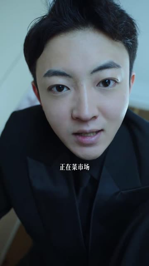 完美假象（53集）在线看免费版