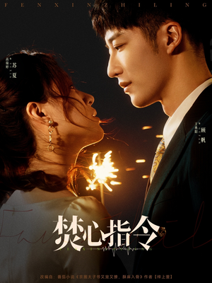 焚心指令（80集）最后的大结局