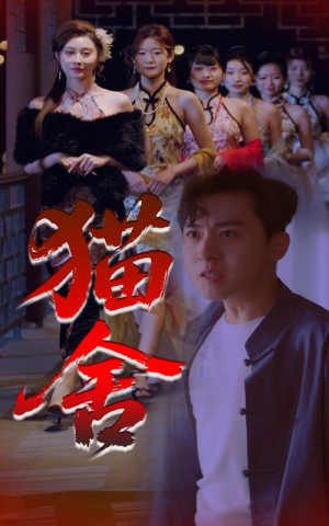 猫舍（34集）好看短剧抢先看