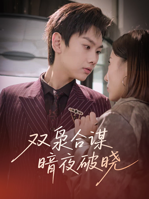 双枭合谋暗夜破晓（30集）第一集