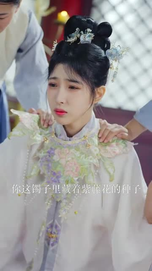 登云天（78集）精彩短剧免费看