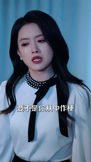 病犬危机（68集）百度网盘在线看