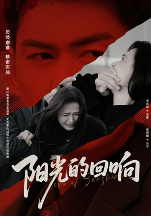 阳光的回响（50集）UC网盘在线看