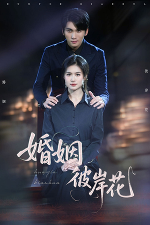 婚姻彼岸花（63集）免费短剧合集