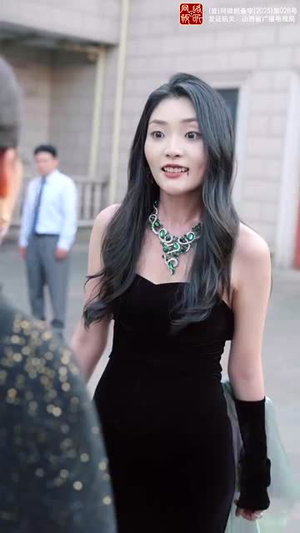 隐藏的面孔（50集）哪个网站可以看
