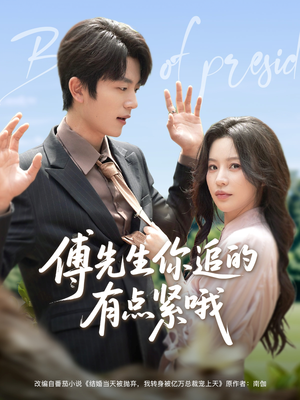傅先生你追的有点紧哦（95集）免费看短剧全集