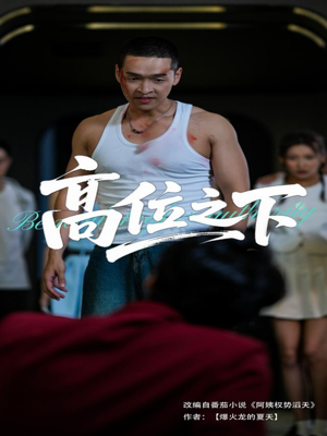 高位之下（65集）好看吗