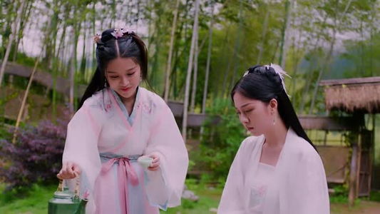 剑影凝霜（52集）第一季