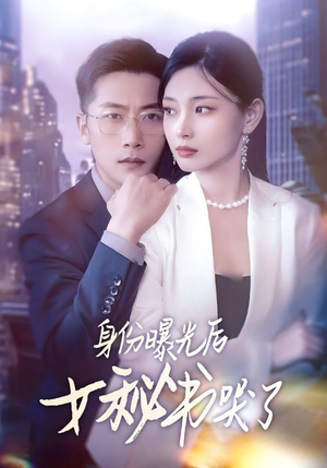 身份曝光后女秘书哭了（31集）全集免费