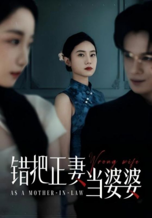 错把正妻当婆婆（46集）最新热门短剧