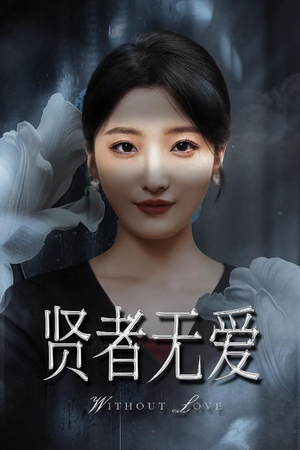 贤者无爱（42集）推荐好短剧