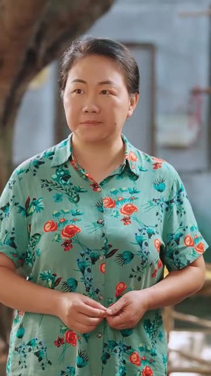 大院的夏天（60集）网络小短剧