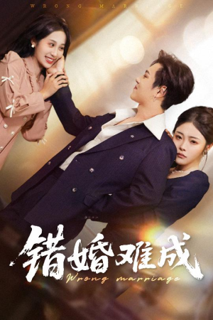 错婚难成（45集）热播短剧来袭
