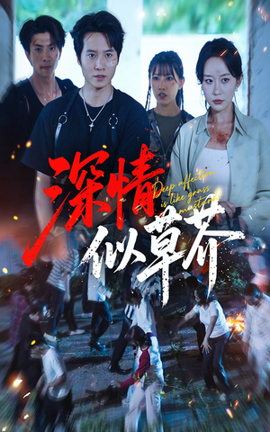 深情似草芥（51集）一口气看完全集