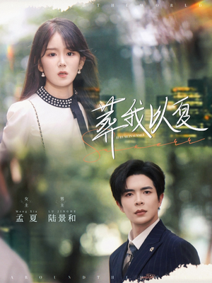 葬我以夏（73集）网上可以看吗