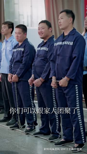 以法之名罪无可赦（60集）全季一次看完