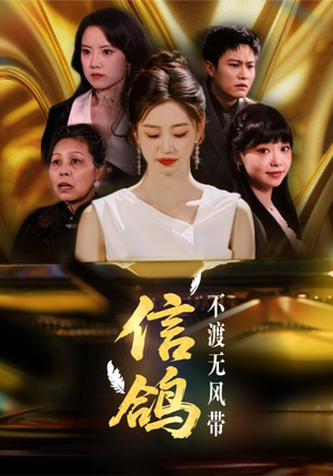 信鸽不渡无风带（65集）短剧热门合集