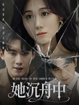 她沉舟中（71集）精彩好看的短剧
