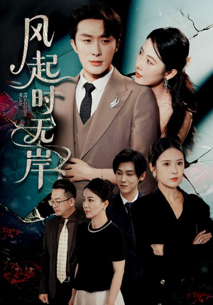 风起时无岸（58集）火爆热门短剧