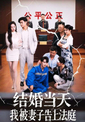 结婚当天我被妻子告上法庭（30集）免费看全集