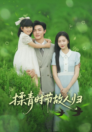 揉青时节故人归（60集）热门短剧推广