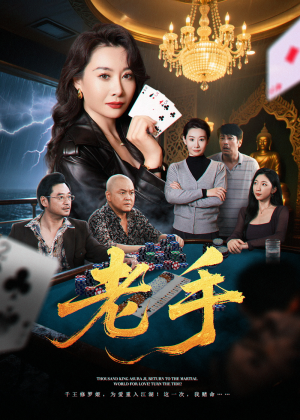 老手（36集）短剧追不停