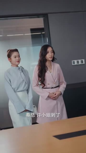 念念入淮（74集）最新热播短剧
