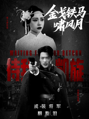 金戈铁马啸风月（54集）免费看短剧