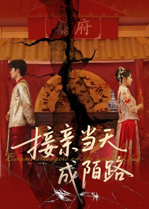 接亲当天成陌路（50集）短剧精彩推荐