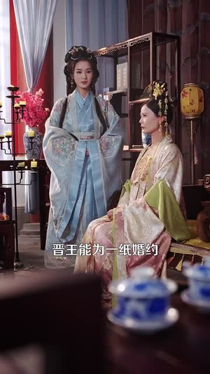 太子情变弃妃临帝（104集）演的怎么样