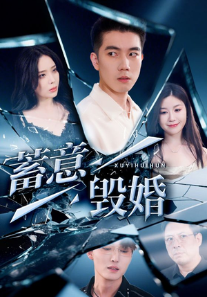 蓄意毁婚（51集）排行榜前十短剧