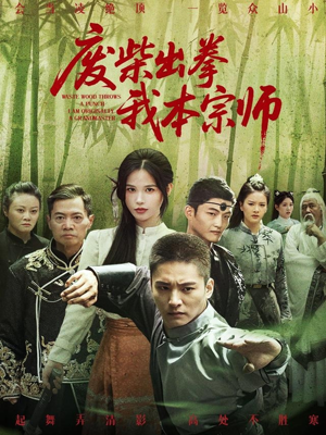 废柴出拳我本宗师（61集）太好看了短剧