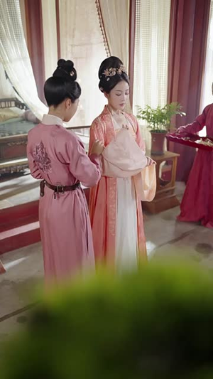 霓裳飞金阙（60集）在线看免费版