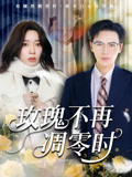 玫瑰不再凋零时（73集）1-102集
