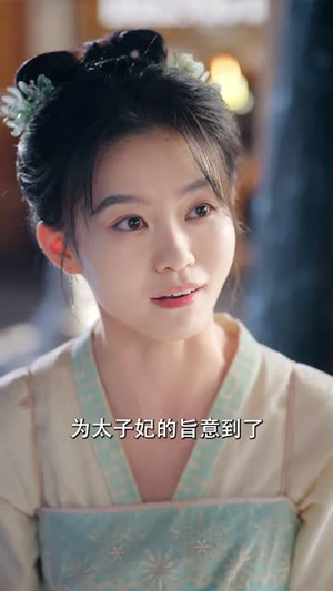 贬妻为妾医女竟是长公主（80集）好看短剧抢先看