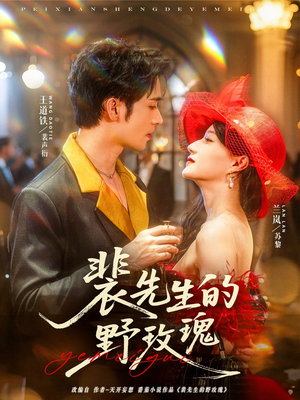 裴先生的野玫瑰（72集）在哪里可以全集