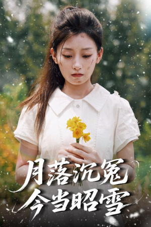 月落沉冤今当昭雪（60集）热播短剧来袭
